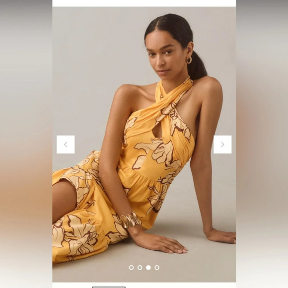 Hutch Floral Halter Maxi Dress - Picture 4 of 16